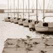 Gulls and Hulls (Sepia-tone), Giclee print on canvas 16" x 