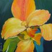 French Iris
