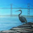 Heron Hunting