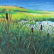 Eel Pond at Martha's Vineyard