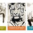 WIldlife Conservation Posters